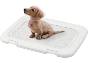 アイリスオーヤマ 犬用トイレ メッシュカバー付き 漏れ防止トレーニングペットトレイ ワイド 銀イオン配合 抗菌 アイボリー